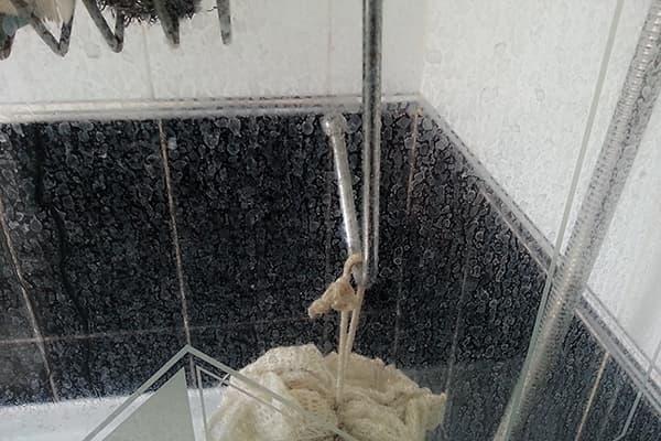 Les taches d'eau dure sur le verre dans la douche